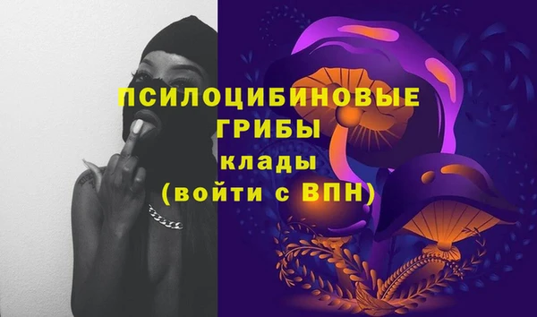 МДПВ Белоозёрский