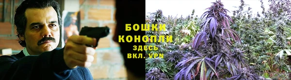 СК Беломорск
