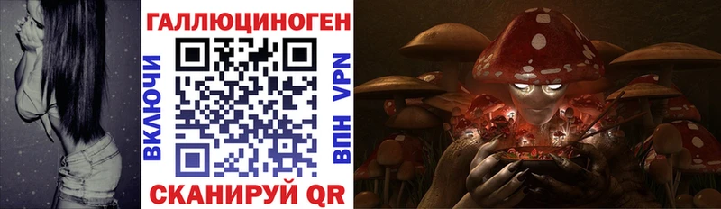 Галлюциногенные грибы прущие грибы закладка Заволжье